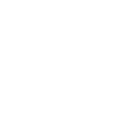 BNP_LOGO_184X184_BRANCO
