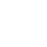 FEI_LOGO_184X184_BRANCO