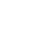 MCPLUS